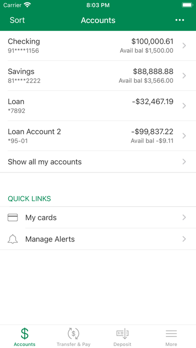 Bank of Monticello Screenshot