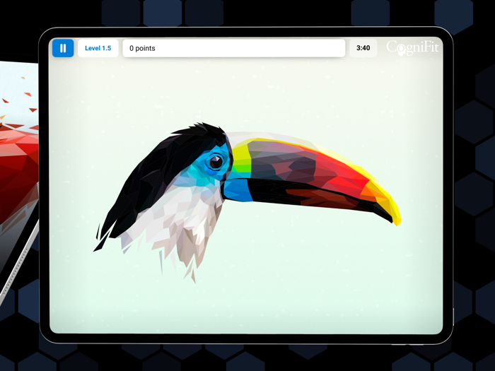 CogniFit - Brain Training