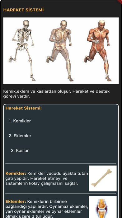 Ehliyet Sınavı Bilgi Kartı Screenshot