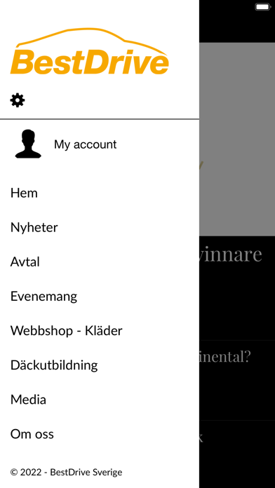 BestDrive Sverige Screenshot