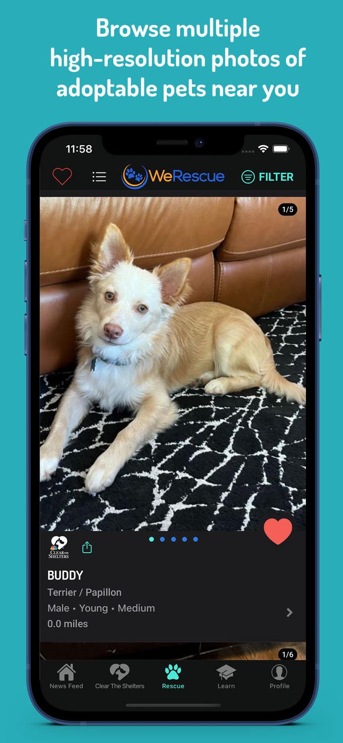 WeRescue – Adopt a Pet