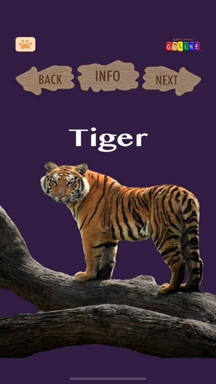 Baby Learn Zoology screenshot-4