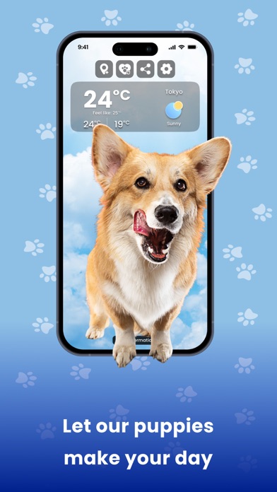 Weather Kitty - Cute Cat radar Screenshot
