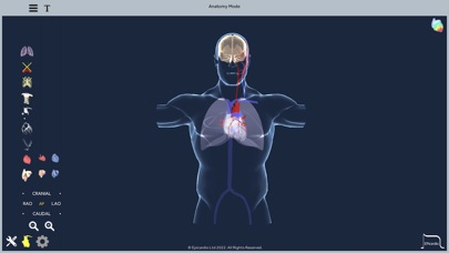 Epicardio Heart Simulatorのおすすめ画像9