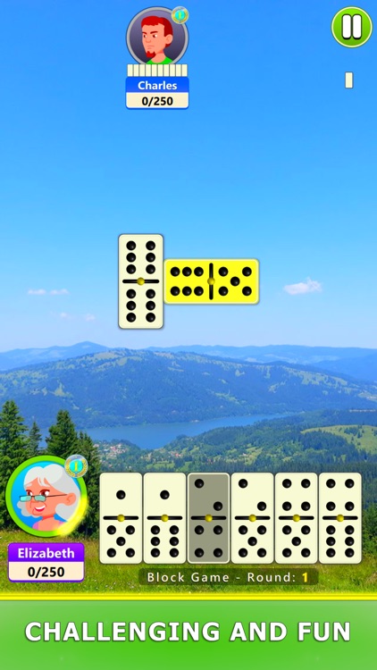 Dominoes Board Game screenshot-6