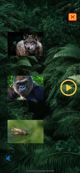Game screenshot Animal Names and Sounds hack