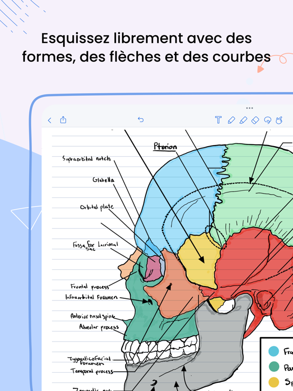 Notability Notability