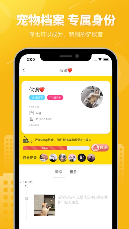 友猫-分享宠物的美好世界