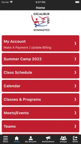 Game screenshot Excalibur Gymnastics apk