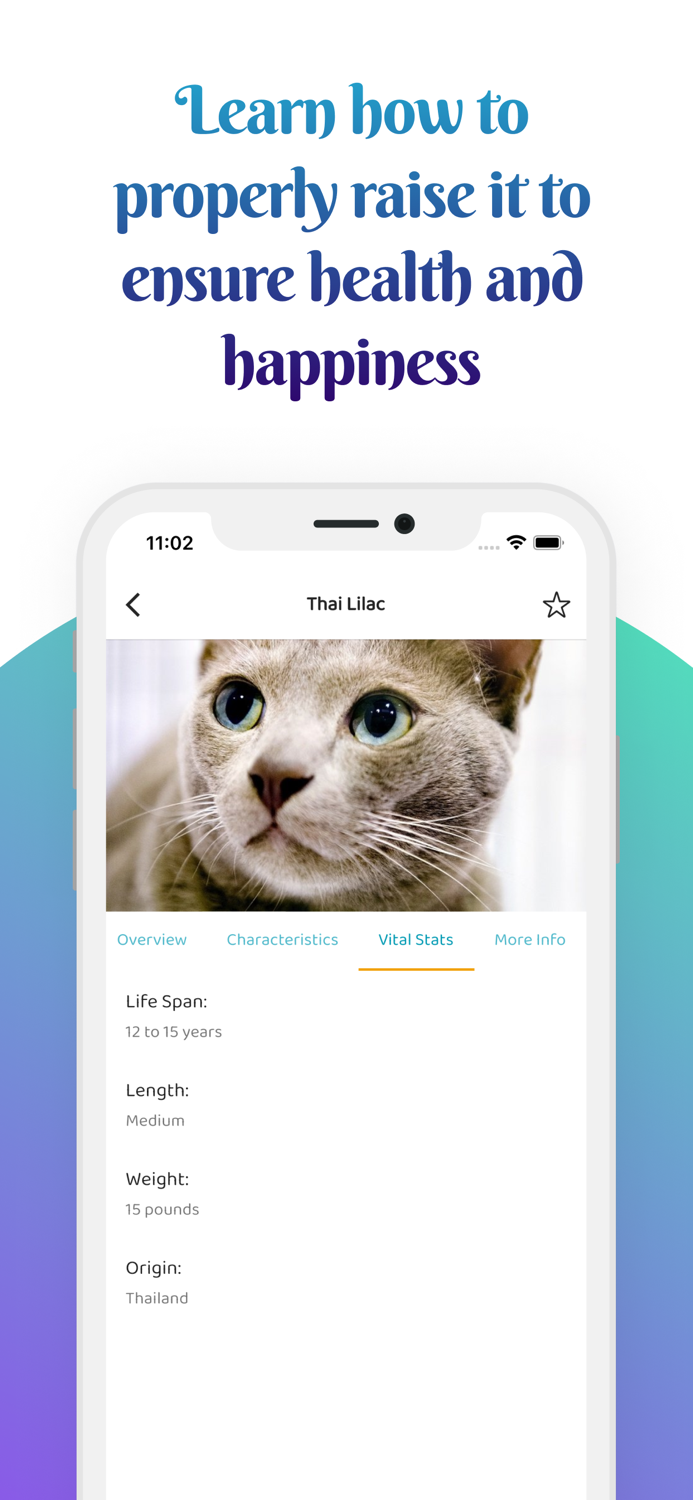 Cat Caring Breeds and Guides