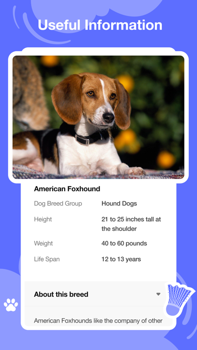 Dog scanner - Dog Breed ID Screenshot
