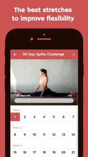 30 day splits challenge iphone screenshot 4