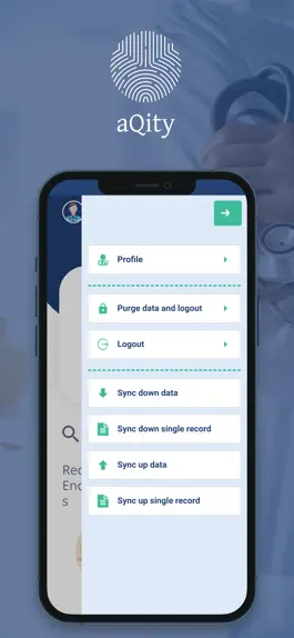 Game screenshot aQity hack