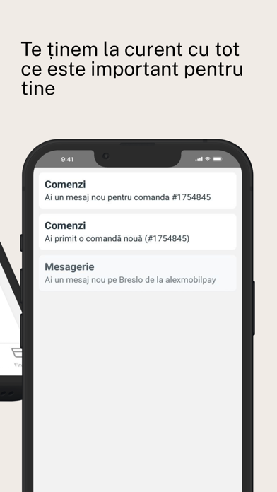 Vinde pe Breslo Screenshot
