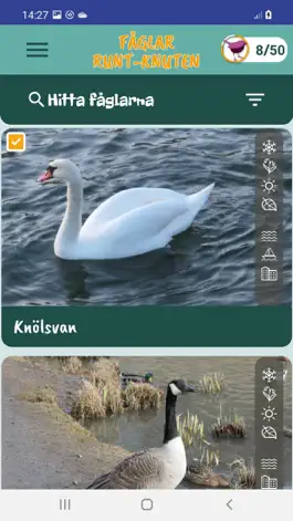Game screenshot Fåglar Runt-Knuten apk