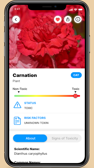PawsPlace: Keep Your Pets Safe Screenshot