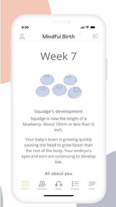 Mindful Birth Screenshot