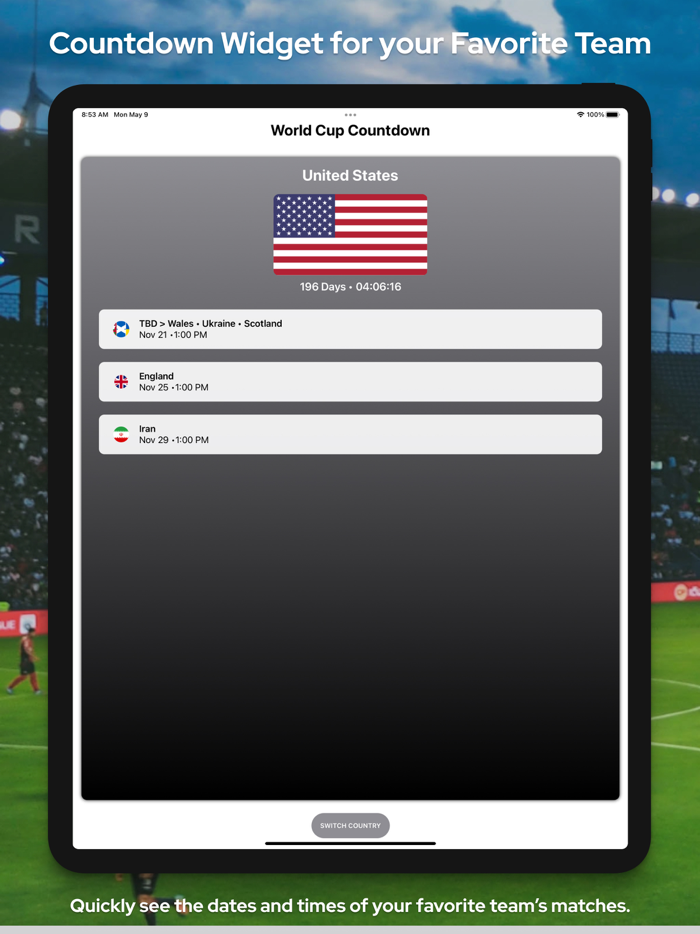 WorldCup Widget
