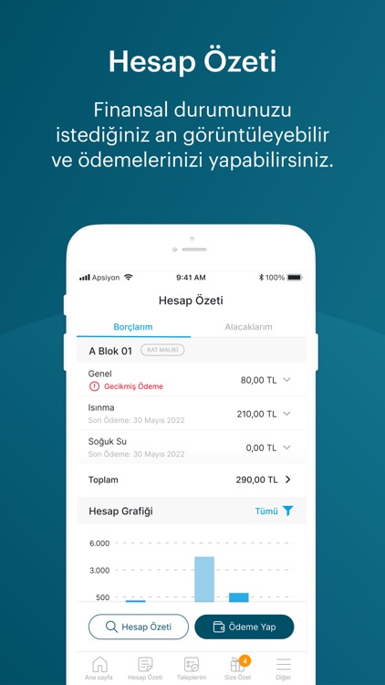 Akıncı Yönetim screenshot-3