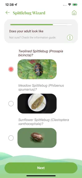Game screenshot Twolined Spittlebug Tool hack