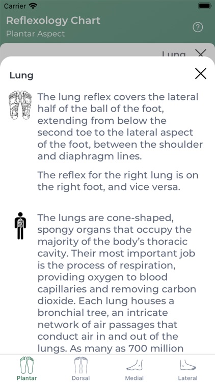 Reflexology Chart screenshot-5