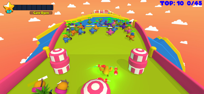 Survivor Boys Racing Knockout