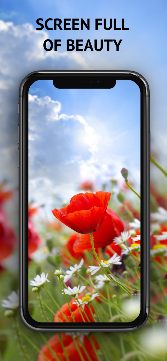 Best Wallpapers HD and Anime