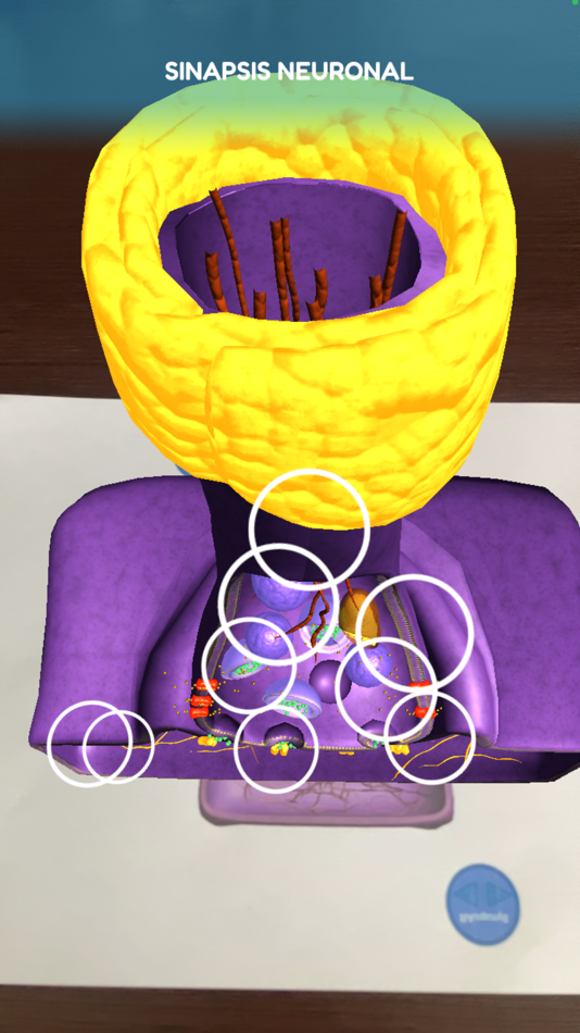 #3. SynapsAR (iOS) Podle: MD. USE INNOVATIONS SL