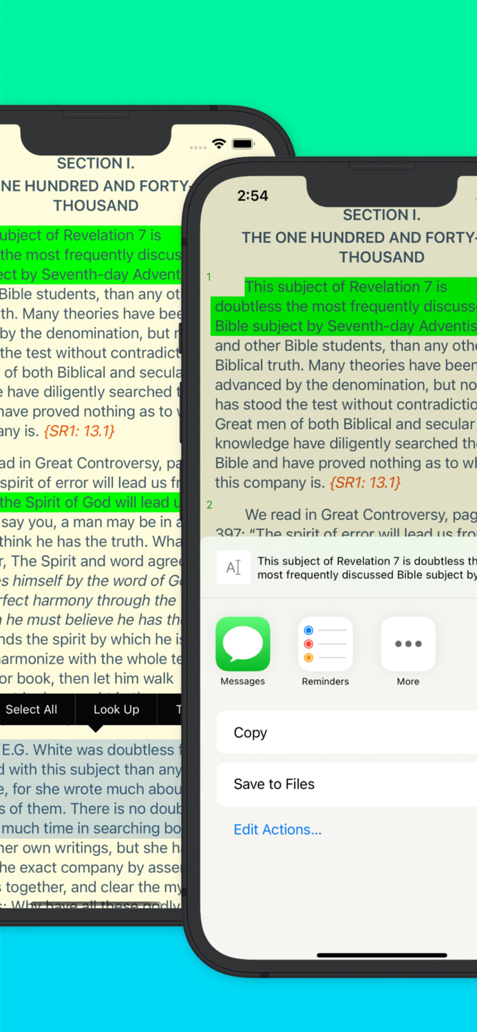 The Shepherds Rod Series