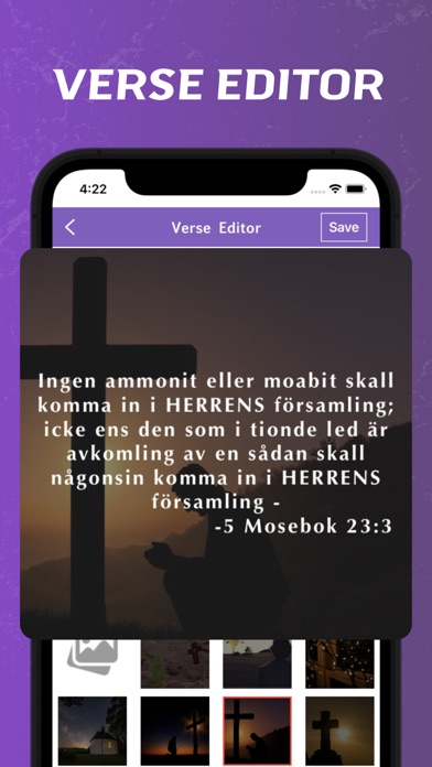 Swedish Bible - offline Screenshot