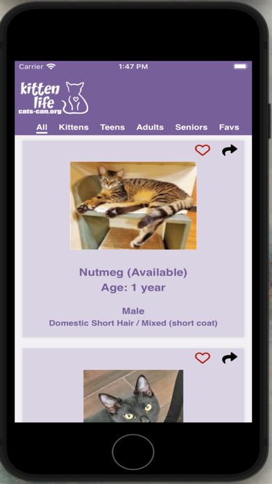 Cats-can inc Screenshot