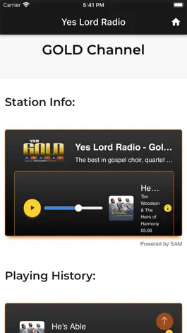 Game screenshot Yes Lord Radio hack