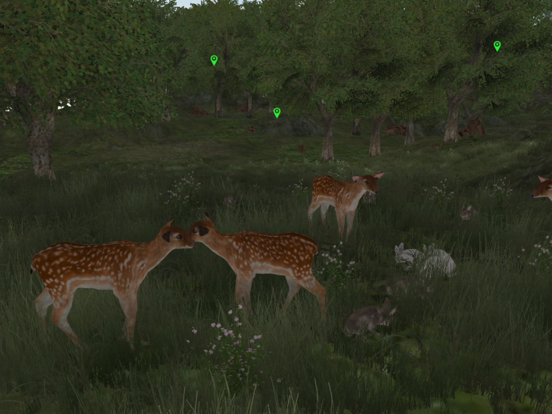 Life Of Deer Remasteredのおすすめ画像2