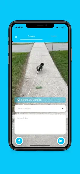 Game screenshot Veiw hack