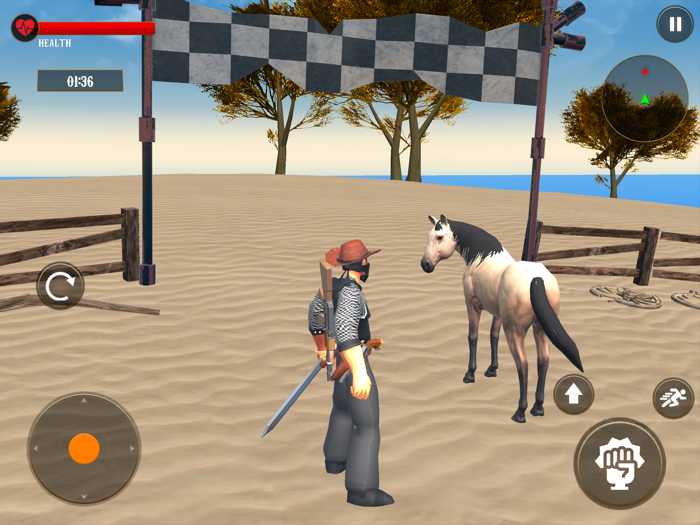 Cowboy Horse Riding Simulator