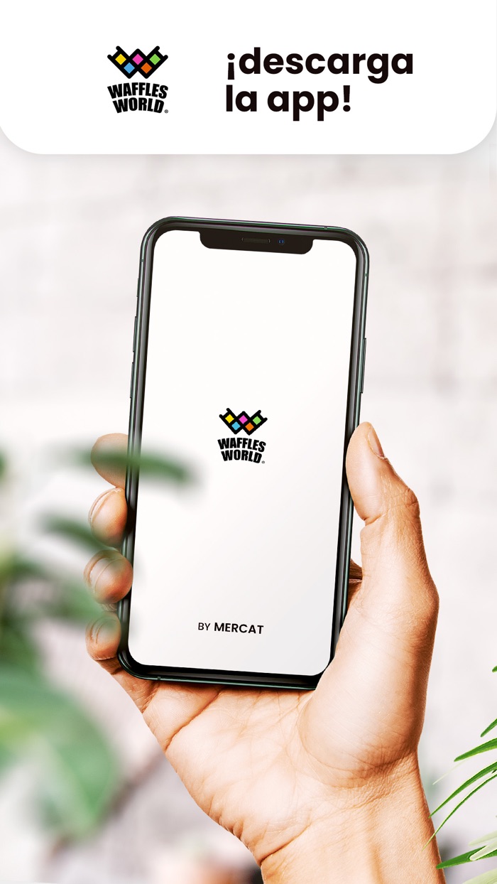 Waffles World