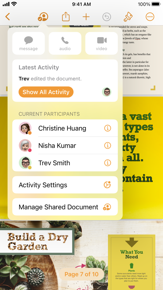 #4. Pages (iOS) By: Apple