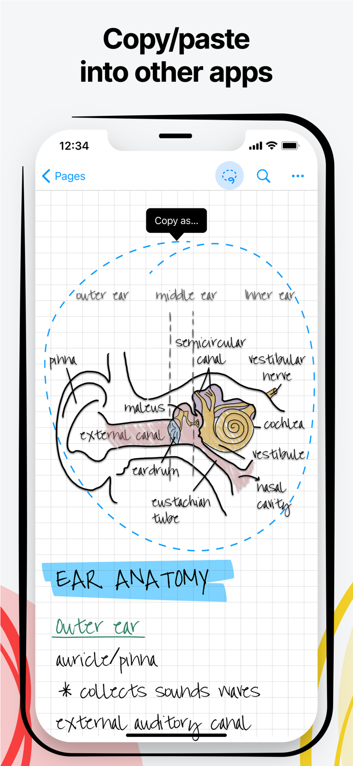 Nebo Viewer sync and read notes