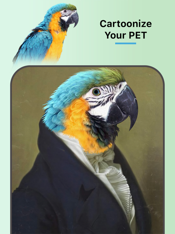 Pet Digital Art - Renaissance iPad screenshot 4 - Photo & Video app