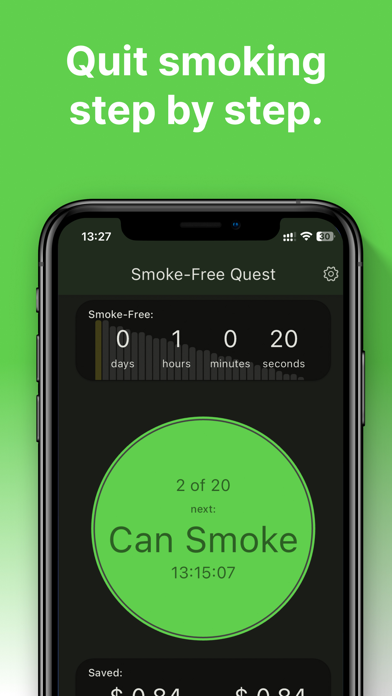 Smoke-Free Quest Screenshot