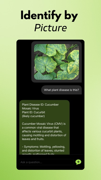 Plant Disease Identifier AI