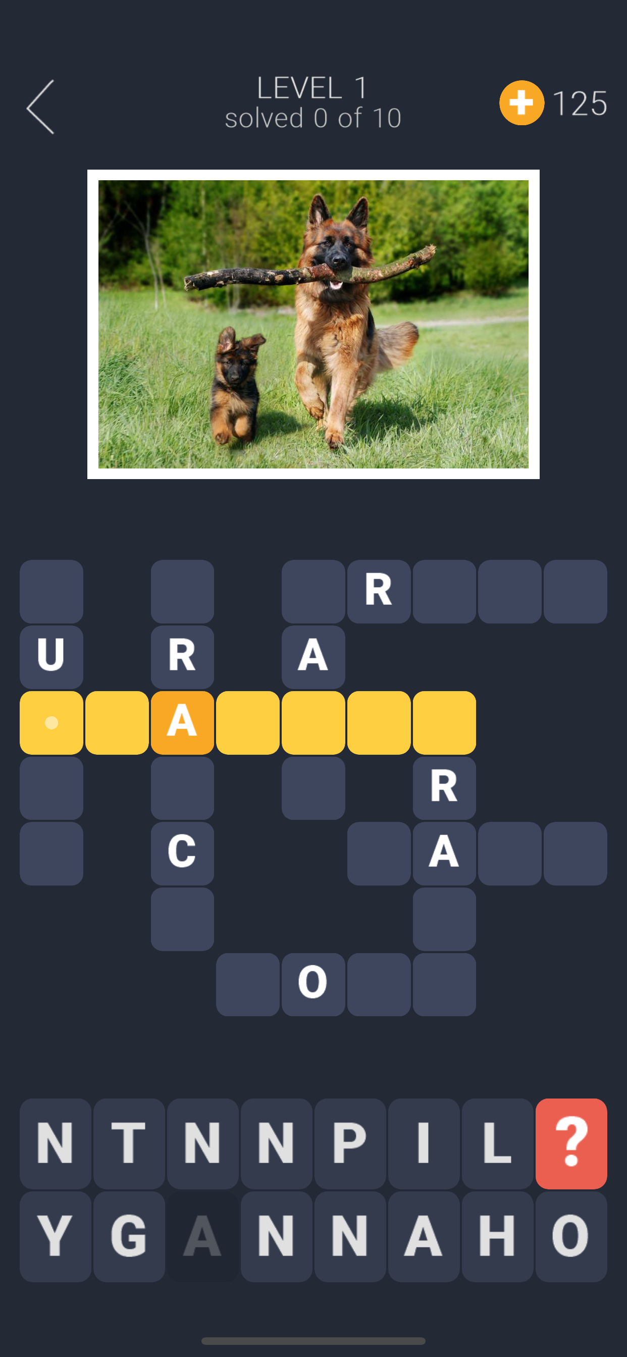 Crosswords for you
