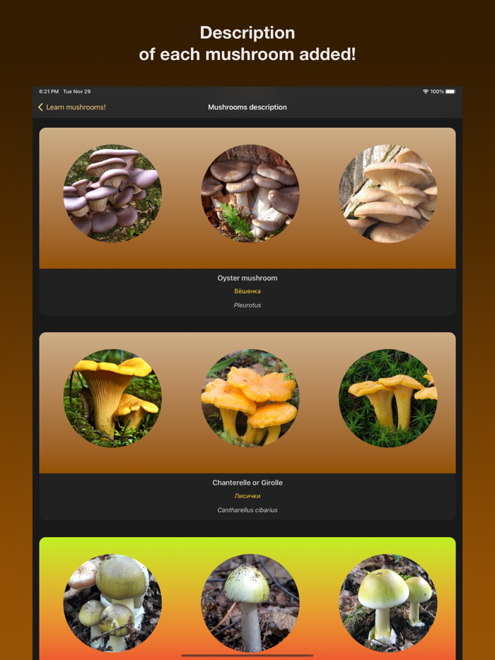 Learn Forest Mushrooms
