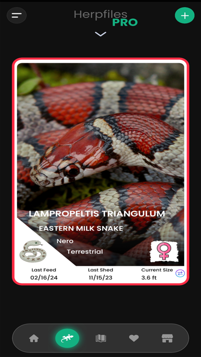 Herpfiles Screenshot