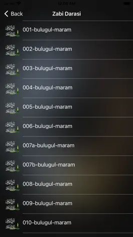 Game screenshot Bulughul Maram Hausa apk