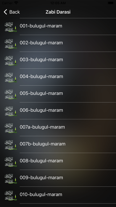 Bulughul Maram Hausa Screenshot