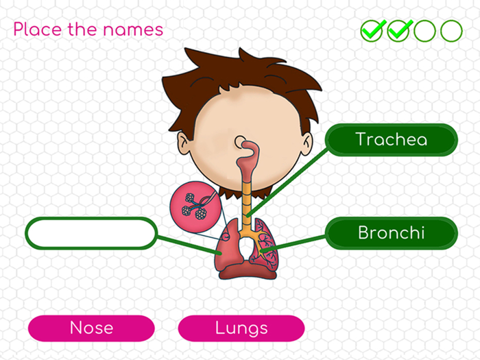 Human Body Adventure Game