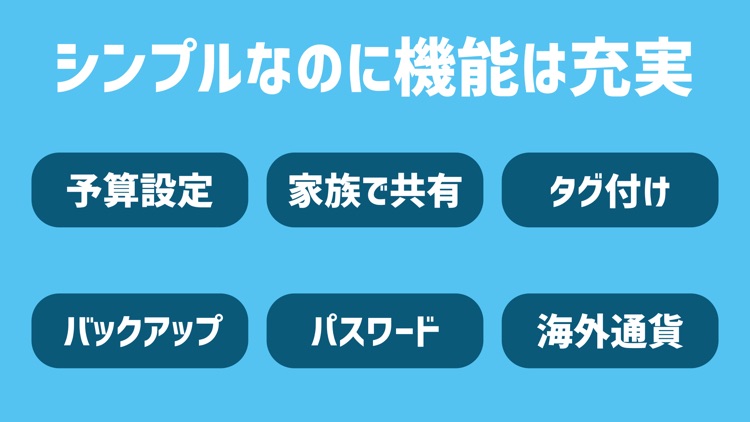 かんたん家計簿 マネタメ screenshot-5