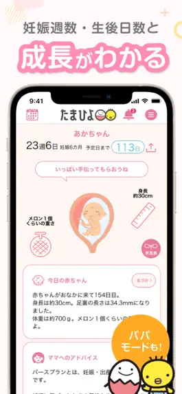 Game screenshot まいにちのたまひよ－妊娠・出産・育児期に毎日役立つアプリ apk