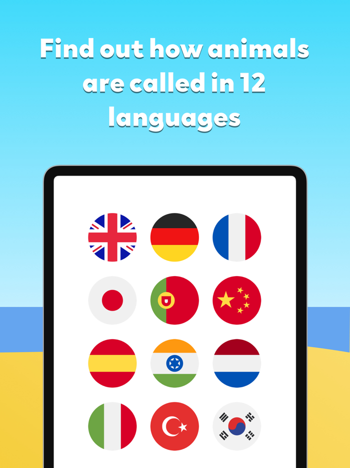 Flashcards with Animals